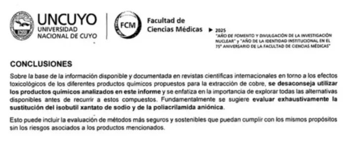 La UNCuyo alerta sobre el uso de químicos perjudiciales en el proyecto minero San Jorge