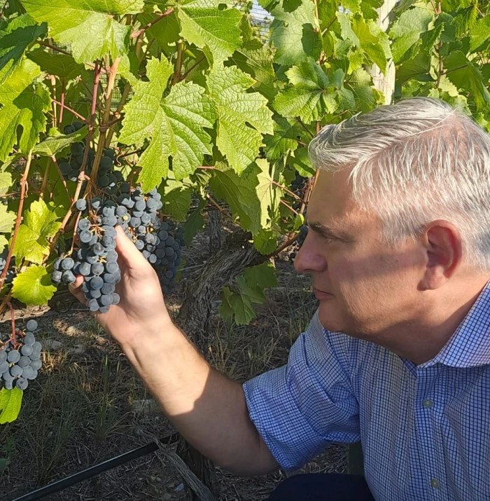Bianchi anticipa blancos frescos y equilibrados, y tintos con carácter, nacidos en dos terroirs de excelencia