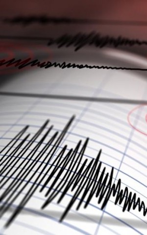 El suelo tembló al atardecer: sismo sacudió Mendoza y San Juan