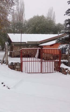 En fotos: la nieve sorprendió a familias mendocinas en el Valle de Uco y Potrerillos