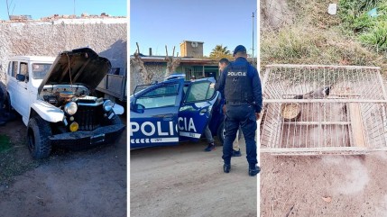 Secuestran armas, electrodomésticos y animales en operativos policiales en San Martín