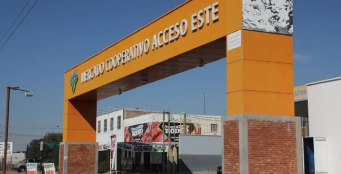 Chile capitaliza el mercado de frutas y verduras en Mendoza por la importación 
