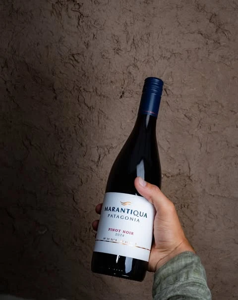 Los vinos patagónicos que emergieron de un mar milenario