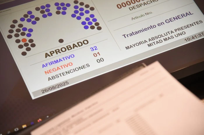 El Senado aprobó la Ley Hojarasca: estas son las leyes que serán derogadas en Mendoza