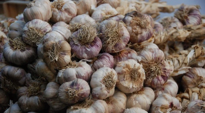 Brasil elimina aranceles al ajo chino y pone en jaque la producción de Mendoza