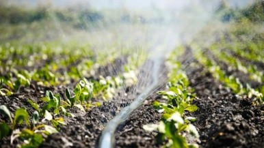 Productores mendocinos podrán optimizar el uso del agua gracias a un avance del INTI