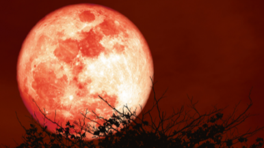 Luna de sangre esta noche: a qué hora se  podrá observar