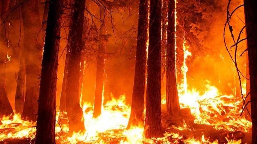 Identificaron a los autores del incendio en El Bolsón