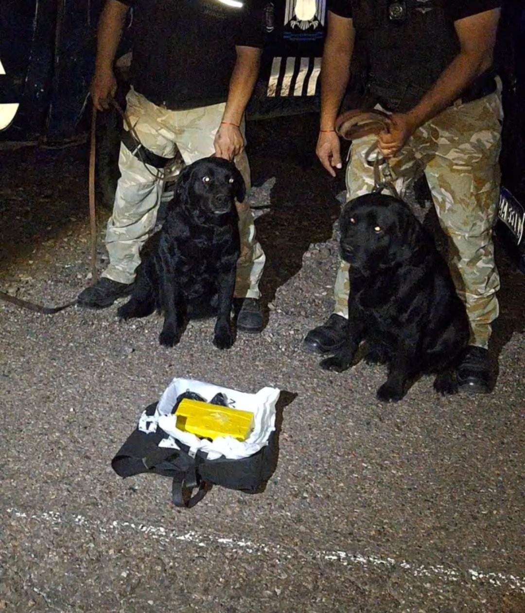 La Polica secuestr casi un kilo de cocana en Monte Coman gracias al accionar de los canes; Aquiles y Anah