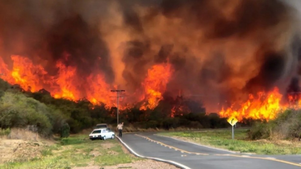 Duro análisis de los efectos de incendios en Córdoba por la Defensoría del Pueblo de la Nación