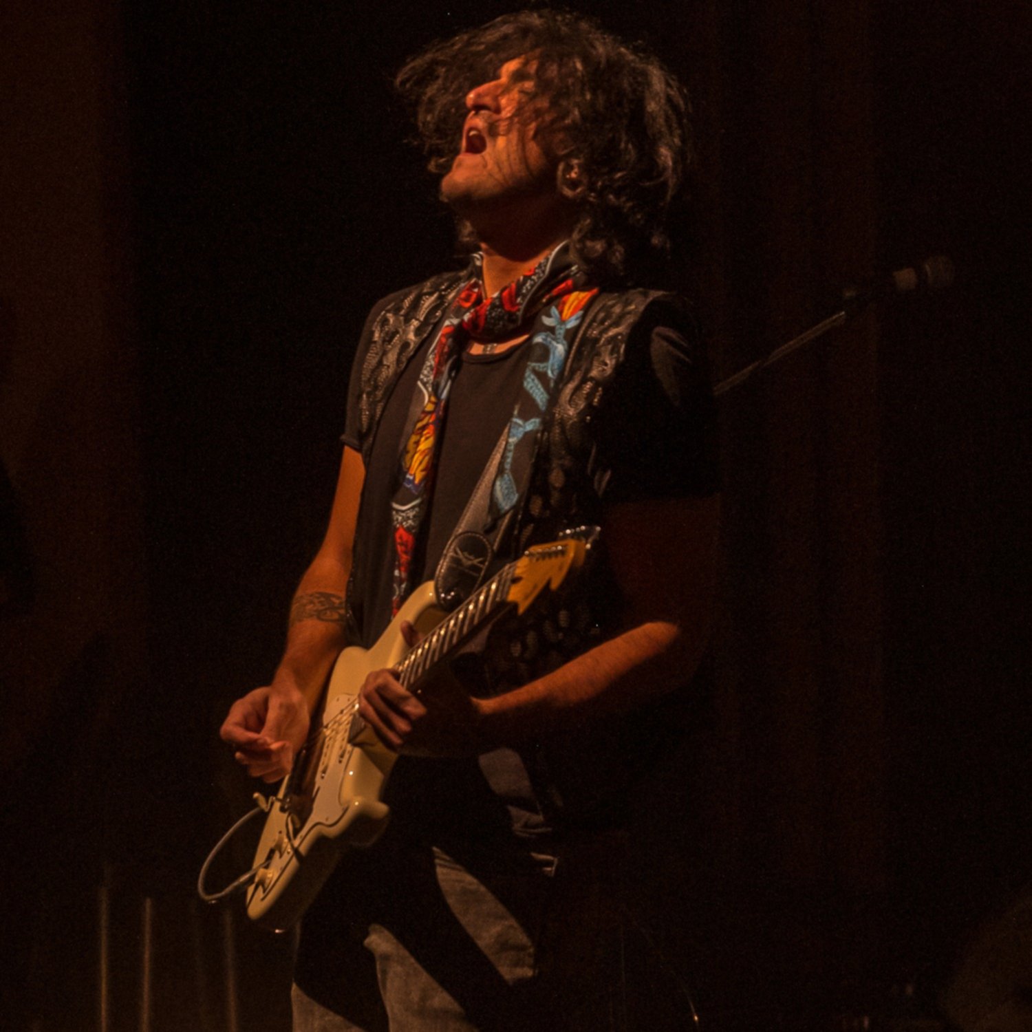 Fiamini y Staiti presentan "Crnicas del rock nacional" 
